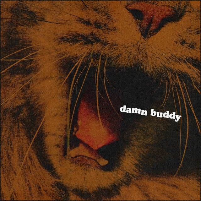 Damn Buddy cover