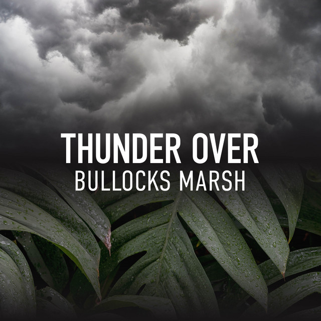 Thunder Over Bullocks Marsh cover art