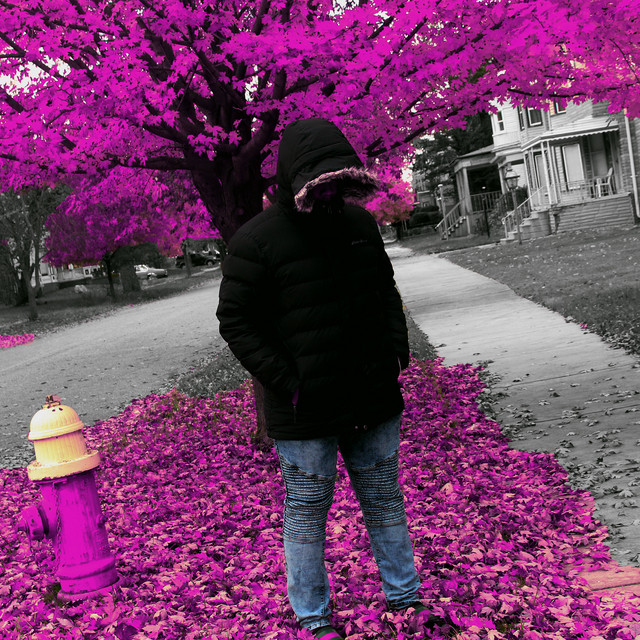 Genesis cover art
