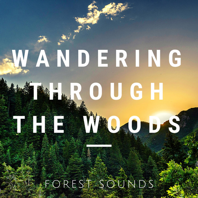 Wandering Through the Woods cover art