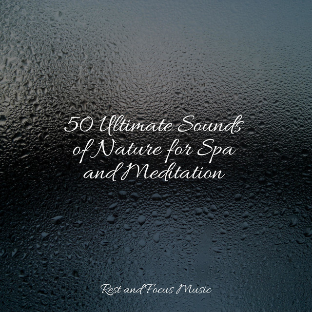 50 Ultimate Sounds of Nature for Spa and Meditation - Album by Tonal ...