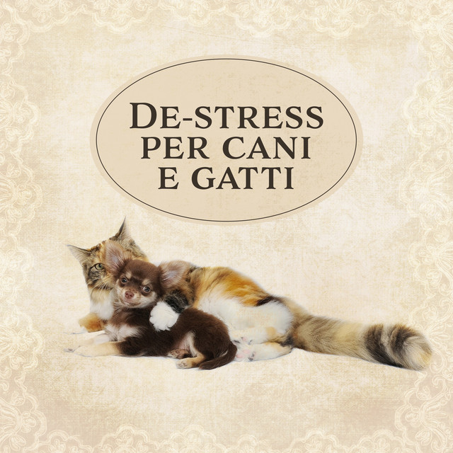 Yoga Per Animali Domestici Song By Musica Terapeutica Naturale Spotify