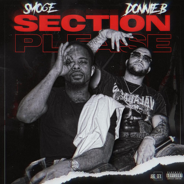 SECTION PLEASE cover art