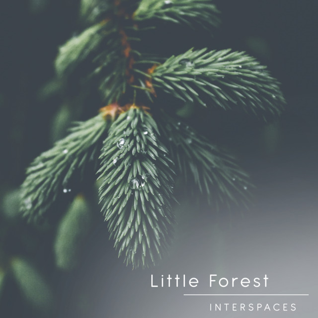 Little Forest cover art