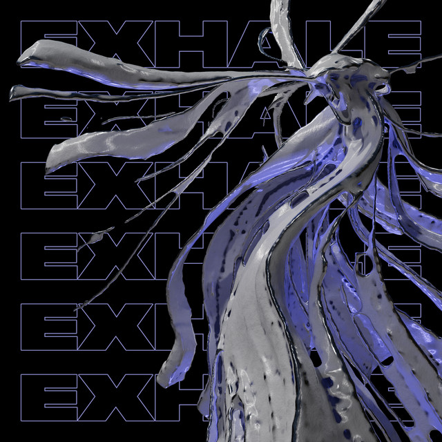 Anima album art