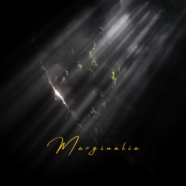Dances You Absorbed - Single by Marginalia | Spotify