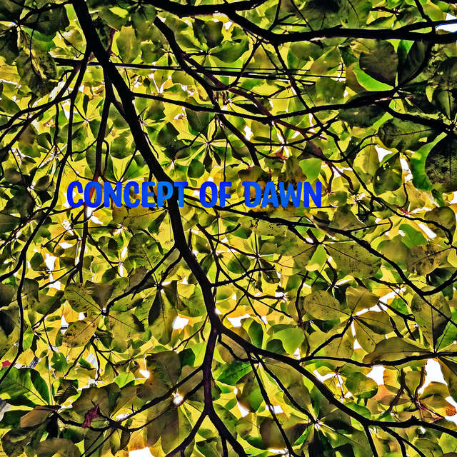 Concept Of Dawn cover