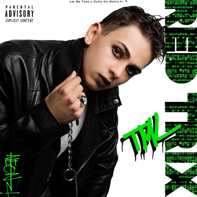The Matrix Life cover art