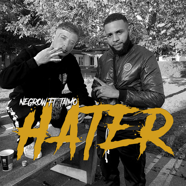 Hater cover