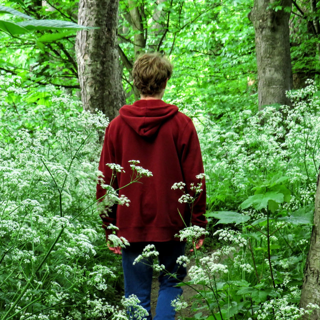 In The Park cover art