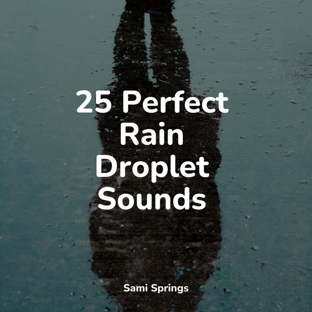 25 Loopable Rain Sounds for Meditation - Album by Naturaleza Sonidos ...