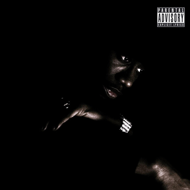 HOTTEST IN THE ROOM cover art