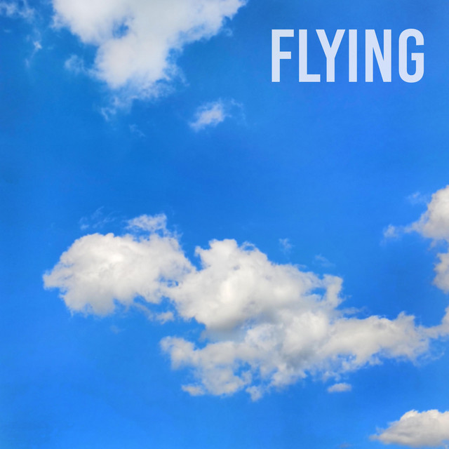 Flying cover art