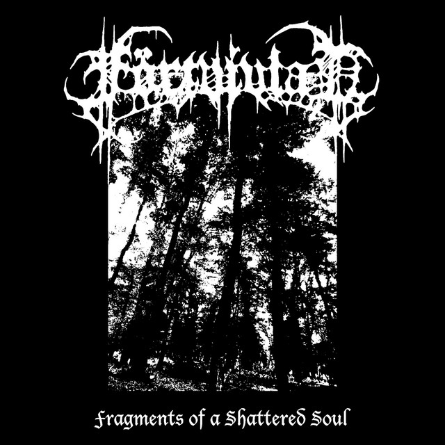 Fragments of a Shattered Soul cover