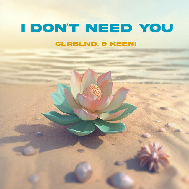 I Don't Need You