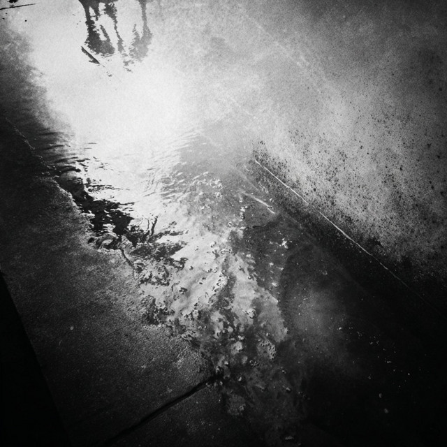 Bodies in Motion cover art