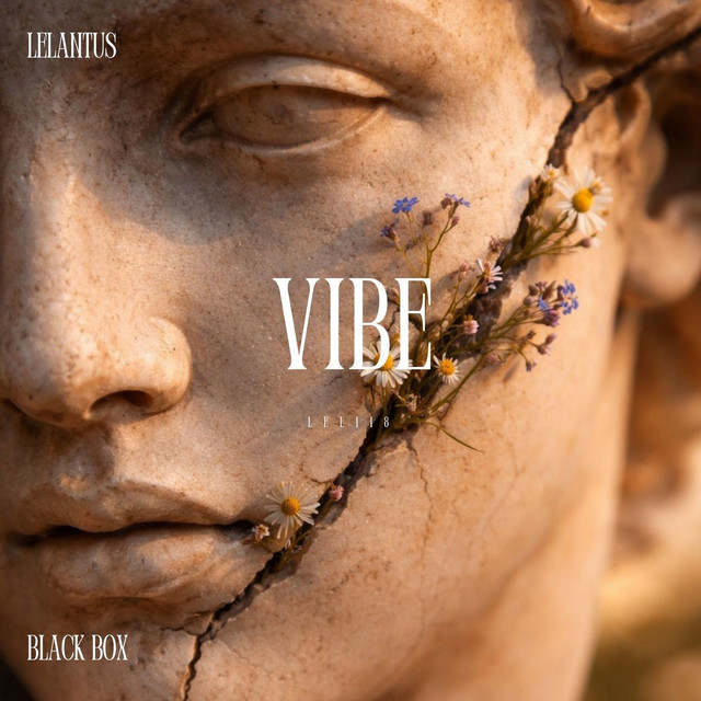 Vibe