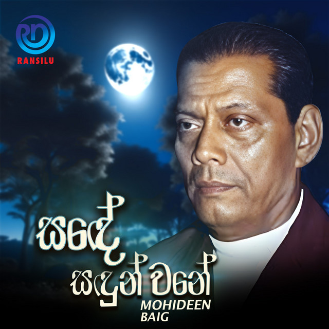 Sade Sadun Wane cover art