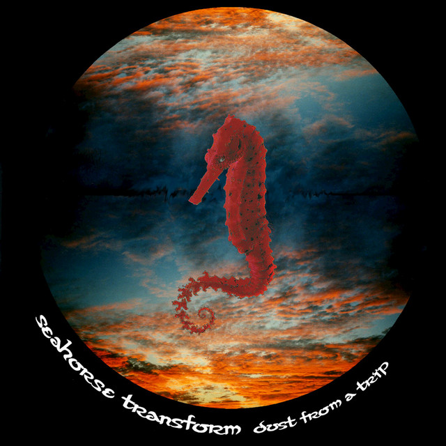 Seahorse Transform Photo