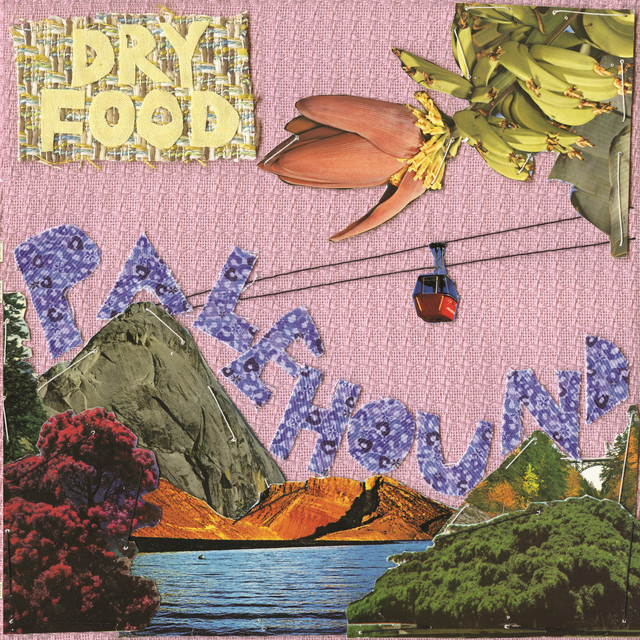 Dry Food cover art