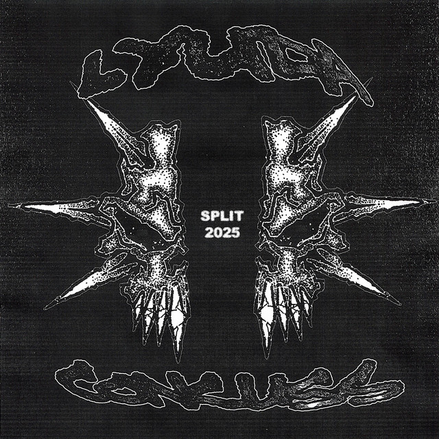 Lyuda / Concuss Split 2025 cover art