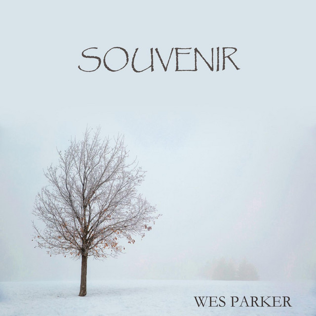 Souvenir cover