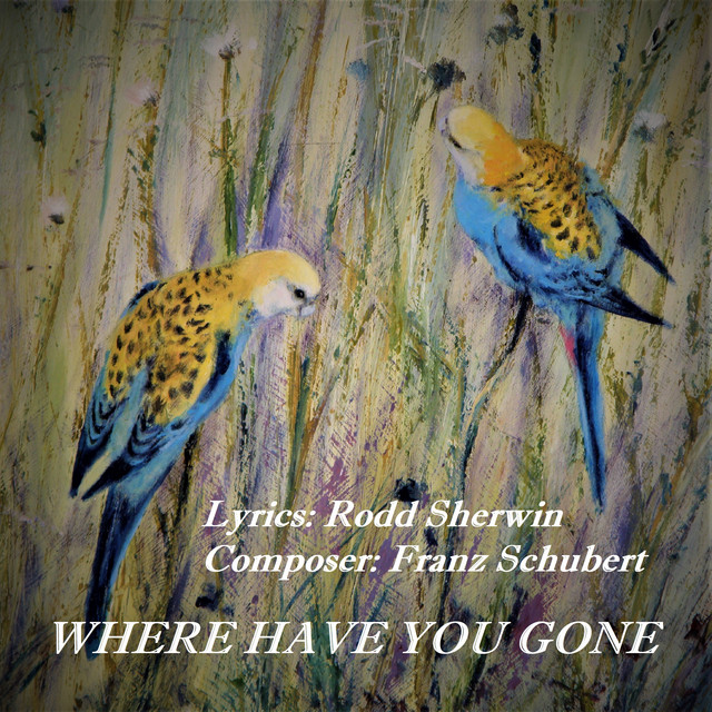 Where Have You Gone - Single by Rodd Sherwin | Spotify