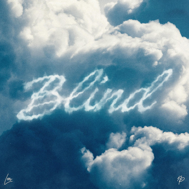 Blind cover art