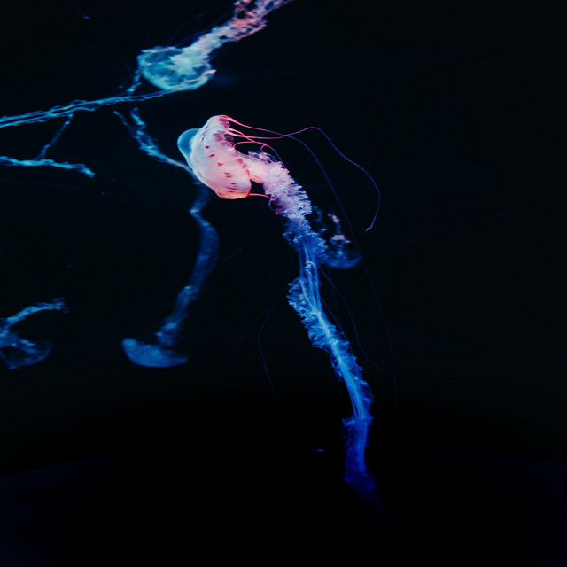 Deep World cover art