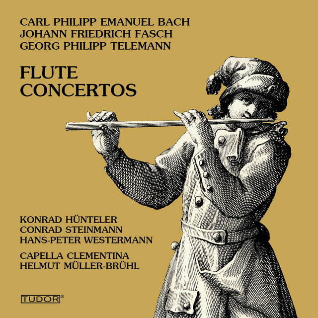Concerto for Recorder & Flute in E Minor, TWV 52:e1: I. Largo cover art