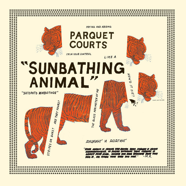 Sunbathing Animal + Content Nausea cover art