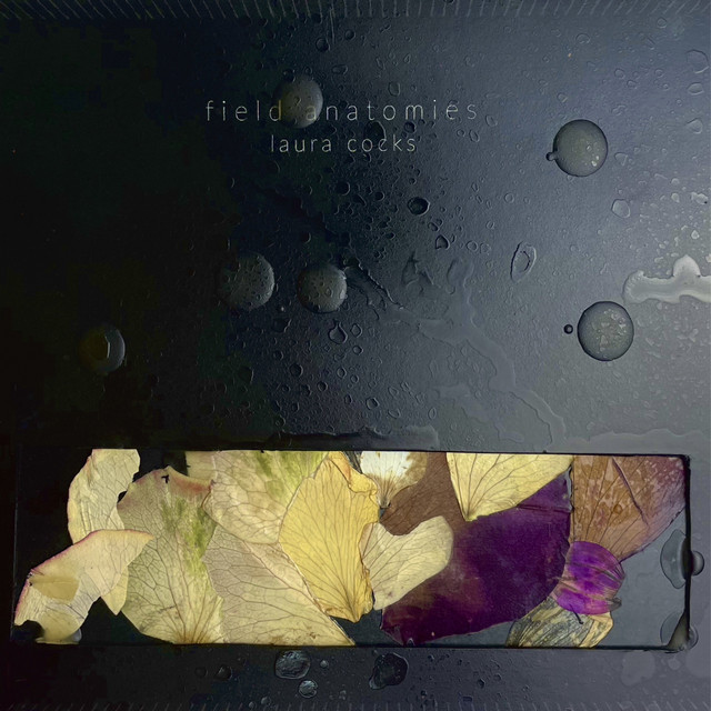 Field Anatomies cover art