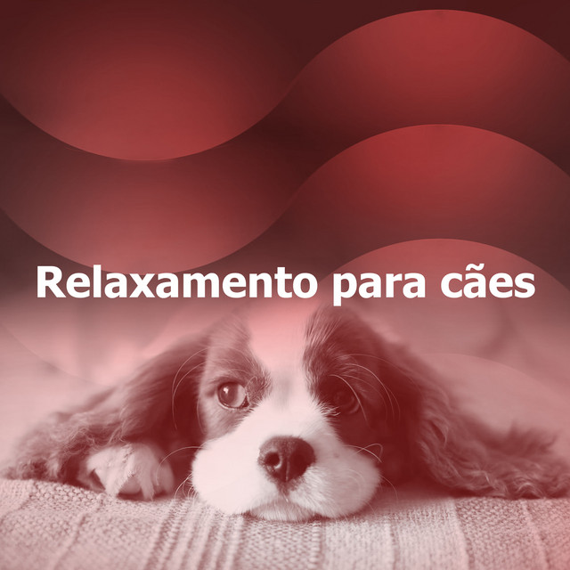 Relaxamento para cães - Album by Música de Cachorro Calmante | Spotify