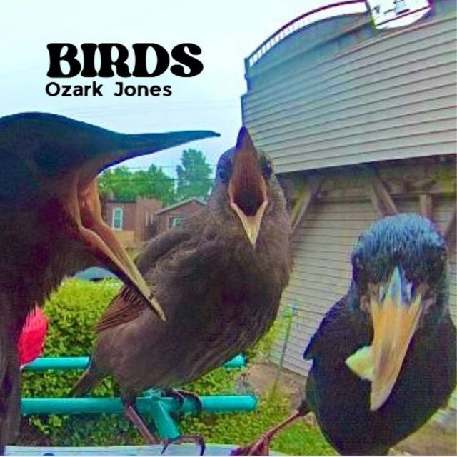 Ozark Jones
