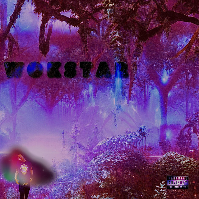 W O K S T A R cover art