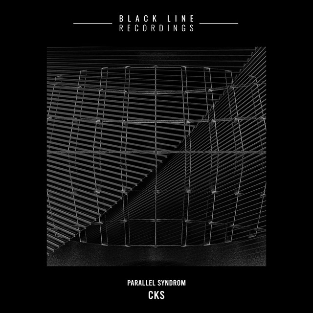 Parallel Syndrom cover art