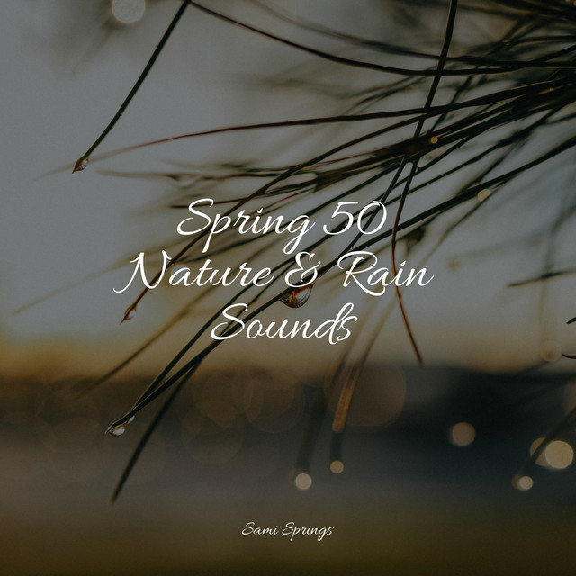 Spring 50 Nature & Rain Sounds - Album by Relax Meditation Sleep | Spotify