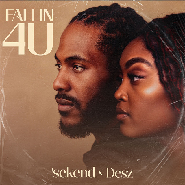 Fallin 4 U cover
