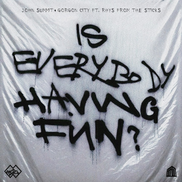 Is Everybody Having Fun? (feat. rhys from the sticks) cover art