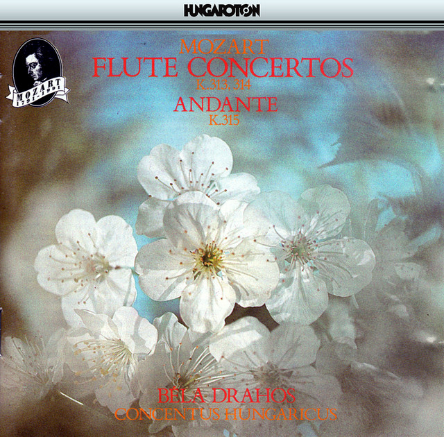 Flute Concerto No. 2 in D Major, K. 314: II. Andante ma non troppo