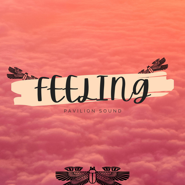 Feeling - Single by Junior Pavilion | Spotify