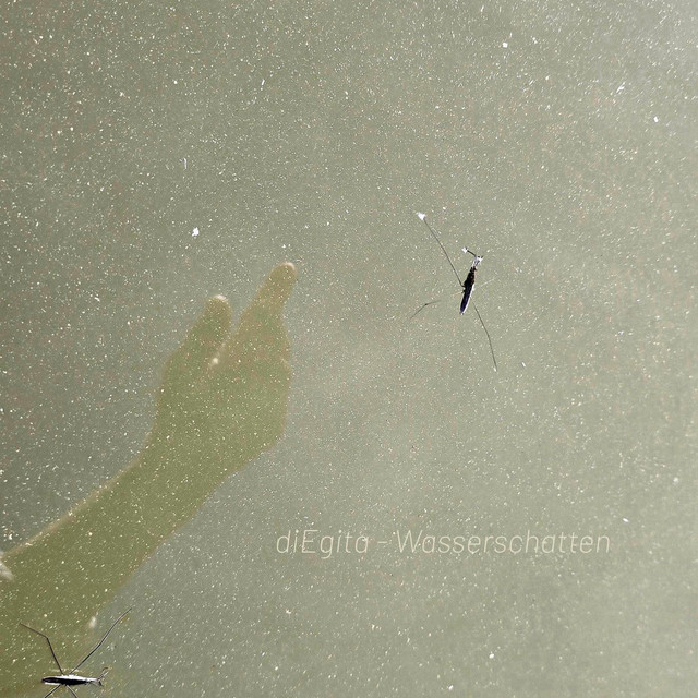 Wasserschatten