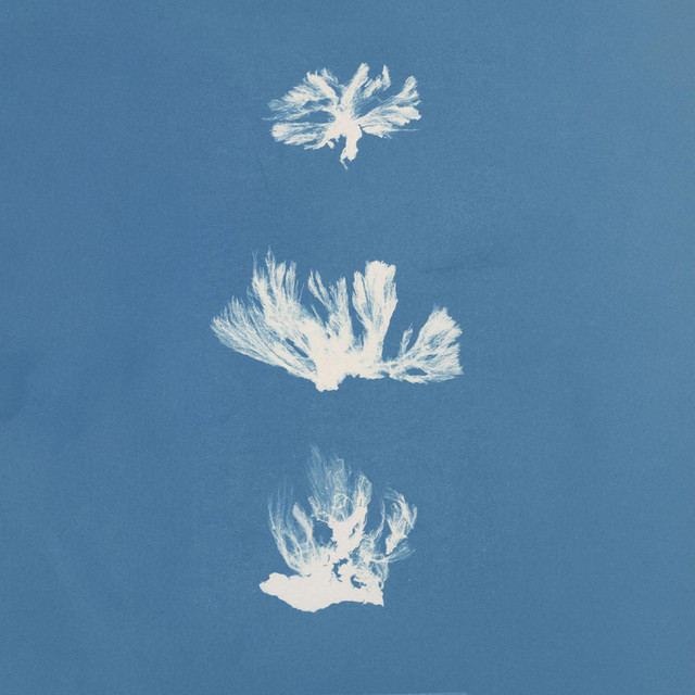 Wonder of Wonders cover art