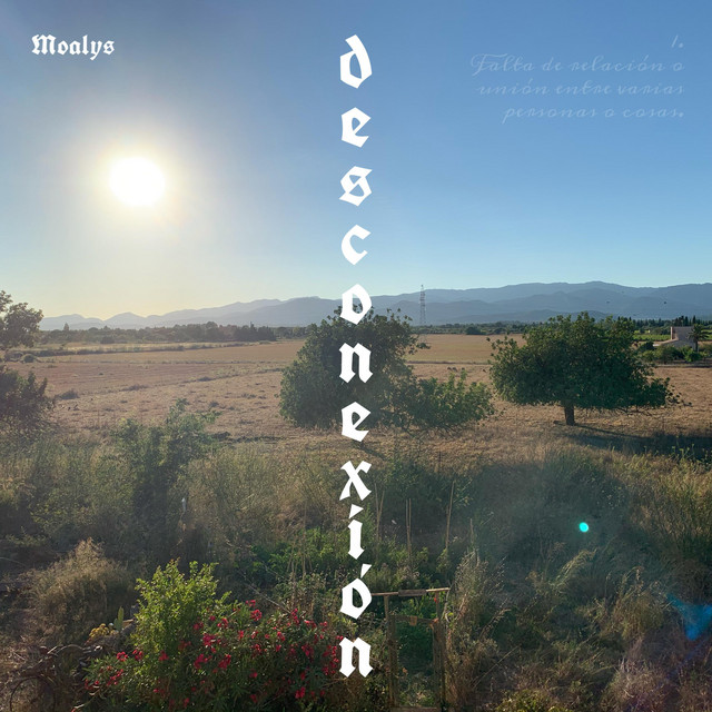 DESCONEXIÓN cover art