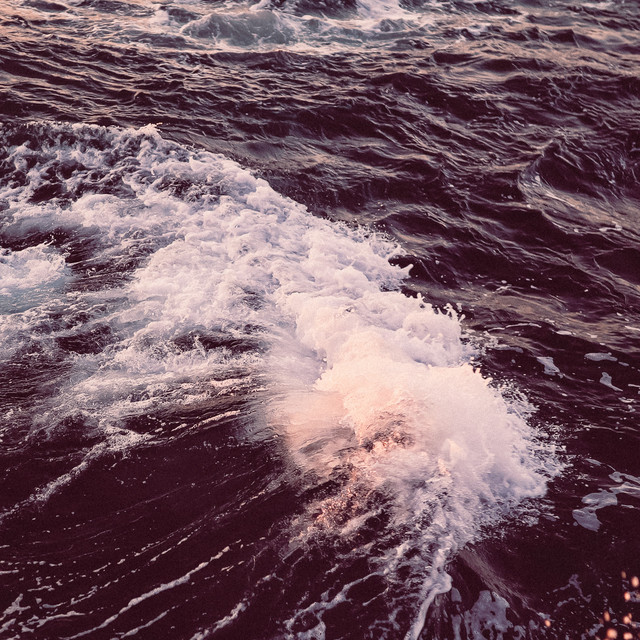 1 Ambient Noise: White Noise Edition cover art