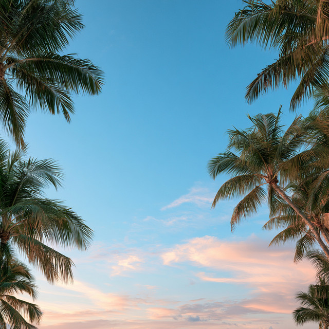 Blue Sky
