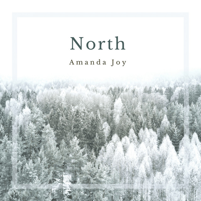 North cover art