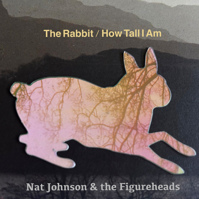 The Rabbit album image