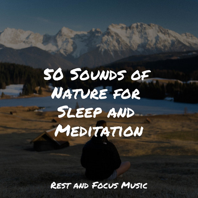 50 Sounds of Nature for Sleep and Meditation - Album by Sleep Waves ...
