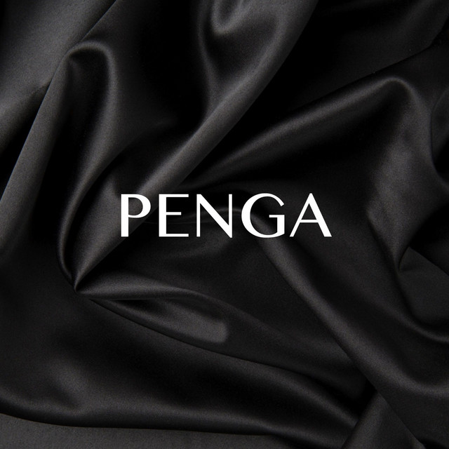 Обкладинка: Penga — Jutrø